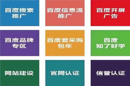 百度推广技巧分享：成功案例解析